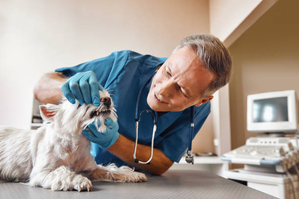Best Weekend Emergency Dentist in Flemington, GA